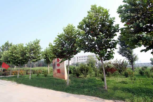 衡水科技工程學(xué)校怎么樣？是國(guó)辦院校嗎？就業(yè)有保障嗎？