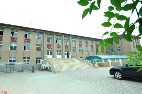 滄州國興職業(yè)技術(shù)學(xué)校開設(shè)了哪些專業(yè)？