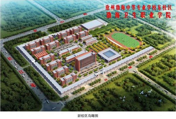 滄州學(xué)幼師為什么選擇滄州渤海專(zhuān)修學(xué)院？