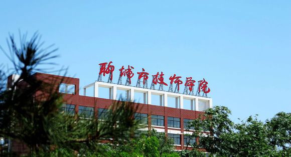聊城市技師學院有計算機專業(yè)嗎？
