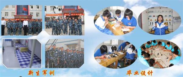 青島海信中心聯(lián)校收費標(biāo)準(zhǔn)是什么？
