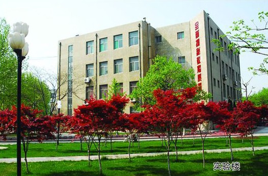 淄博市工業(yè)學(xué)校開(kāi)設(shè)哪些計(jì)算機(jī)課程？