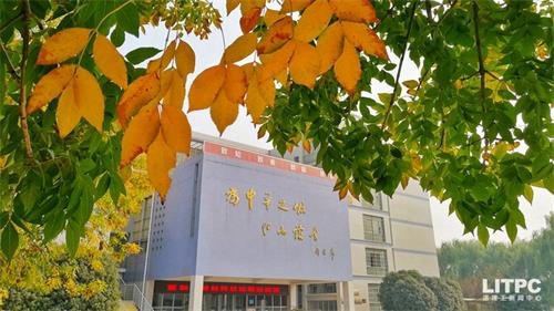 洛陽(yáng)學(xué)電子商務(wù)去哪里？學(xué)電子商務(wù)去洛陽(yáng)哪所學(xué)校？