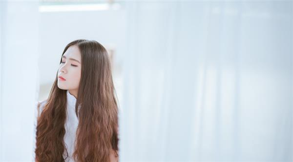石家莊東方學(xué)院都開設(shè)了哪些專業(yè)？