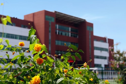 通過單招考取大學(xué)有哪些優(yōu)勢？