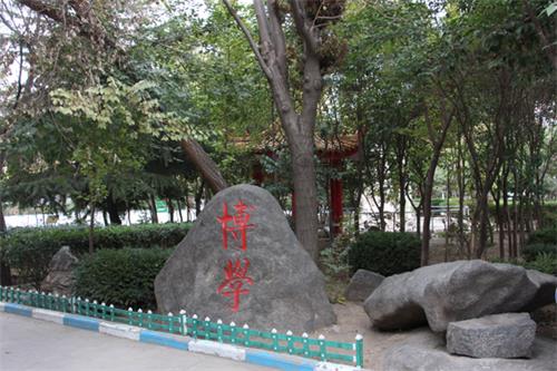  山東人民專修學(xué)院怎樣安排學(xué)生就業(yè)？
