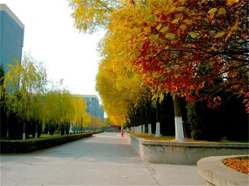 北京現(xiàn)代體育學(xué)院、航空乘務(wù)學(xué)院設(shè)施好嗎？