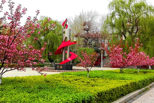 選擇齊魯技術(shù)學(xué)院學(xué)幼師怎么樣？