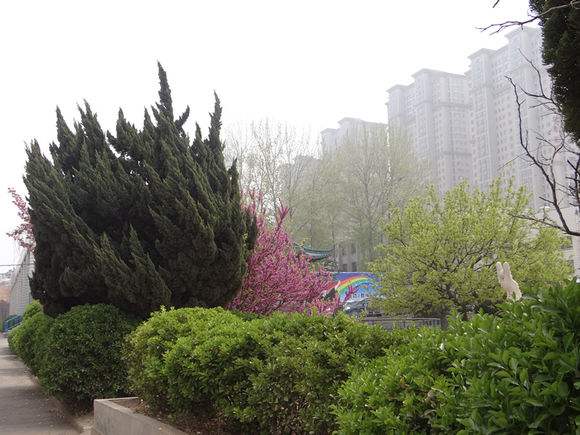 煙臺天虹學院怎么樣？